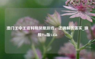 澳门王中王资料精凤凰游戏，正确解答落实_旗舰Pro版4.656