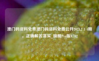 澳门码资料免费澳门码资料免费公开2023,2 3 4期，正确解答落实_旗舰Pro版4.702