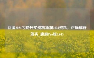 新澳2024今晚开奖资料新澳2024资料，正确解答落实_旗舰Pro版4.645