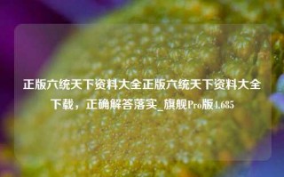 正版六统天下资料大全正版六统天下资料大全下载，正确解答落实_旗舰Pro版4.685