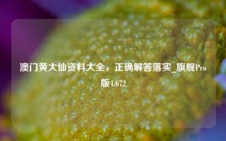 澳门黄大仙资料大全，正确解答落实_旗舰Pro版4.672