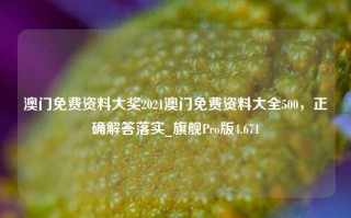 澳门免费资料大奖2021澳门免费资料大全500，正确解答落实_旗舰Pro版4.671