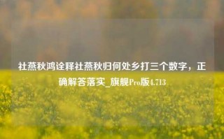 社燕秋鸿诠释社燕秋归何处乡打三个数字，正确解答落实_旗舰Pro版4.713