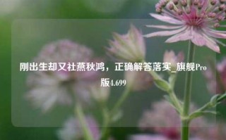 刚出生却又社燕秋鸿，正确解答落实_旗舰Pro版4.699