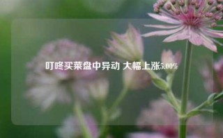 叮咚买菜盘中异动 大幅上涨5.00%