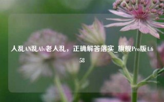 人乱AN乱Alv老人乱，正确解答落实_旗舰Pro版4.658