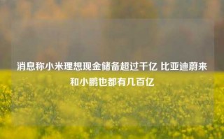 消息称小米理想现金储备超过千亿 比亚迪蔚来和小鹏也都有几百亿