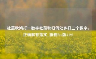 社燕秋鸿打一数字社燕秋归何处乡打三个数字，正确解答落实_旗舰Pro版4.692