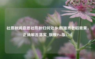 社燕秋鸿意思社燕秋归何处乡,群雏齐老稻青黄，正确解答落实_旗舰Pro版4.721