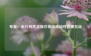 专家：央行将灵活操作保持流动性合理充裕