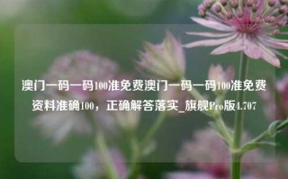 澳门一码一码100准免费澳门一码一码100准免费资料准确100，正确解答落实_旗舰Pro版4.707