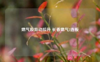 燃气股异动拉升 长春燃气2连板