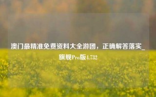 澳门最精准免费资料大全游团，正确解答落实_旗舰Pro版4.732