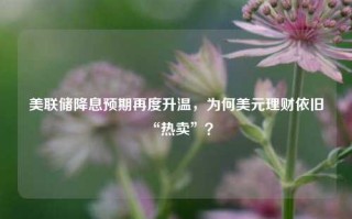 美联储降息预期再度升温，为何美元理财依旧“热卖”？