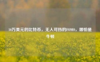 10万美元的比特币，无人可挡的FOMO，哪怕是牛顿