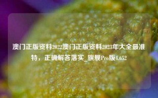 澳门正版资料2022澳门正版资料2023年大全最准特，正确解答落实_旗舰Pro版4.652