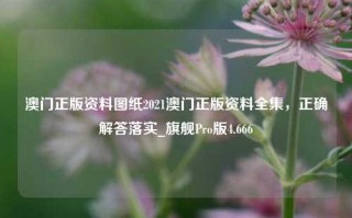 澳门正版资料图纸2021澳门正版资料全集，正确解答落实_旗舰Pro版4.666