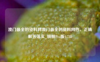 澳门最全的资料网澳门最全的资料网热，正确解答落实_旗舰Pro版4.738