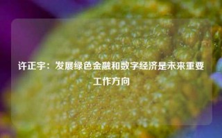 许正宇：发展绿色金融和数字经济是未来重要工作方向