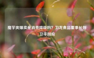 魔芋爽爆卖是消费降级吗？卫龙食品董事长刘卫平回应