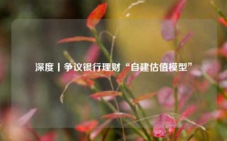 深度丨争议银行理财“自建估值模型”