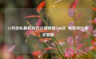 11月份私募机构合计调研逾2600次  电池等行业受青睐