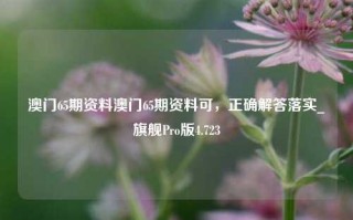 澳门65期资料澳门65期资料可，正确解答落实_旗舰Pro版4.723