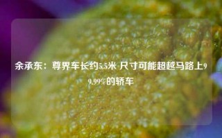 余承东：尊界车长约5.5米 尺寸可能超越马路上99.99%的轿车