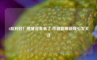 A股利好！增量资金来了 市值管理新规引发关注