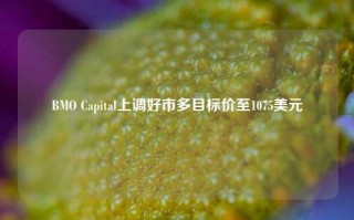 BMO Capital上调好市多目标价至1075美元