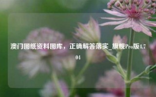 澳门图纸资料图库，正确解答落实_旗舰Pro版4.704