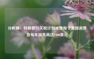 分析师：特朗普的关税计划或使每个美国消费者每年损失高达2400美元