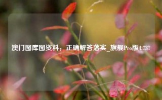 澳门图库图资料，正确解答落实_旗舰Pro版4.737