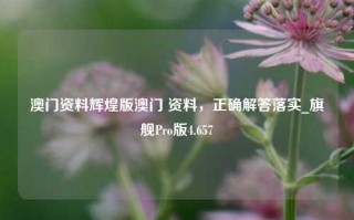 澳门资料辉煌版澳门 资料，正确解答落实_旗舰Pro版4.657