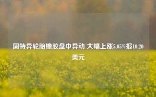 固特异轮胎橡胶盘中异动 大幅上涨5.05%报10.20美元