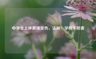 中学生上体育课受伤，法院：学校不担责