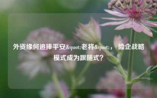 外资缘何追捧平安"老将"， 险企战略模式成为跟随式？