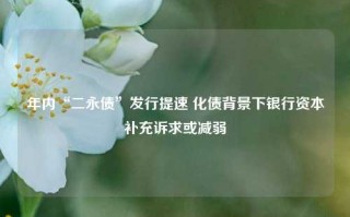 年内“二永债”发行提速 化债背景下银行资本补充诉求或减弱