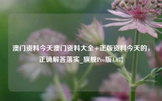 澳门资料今天澳门资料大全+正版资料今天的，正确解答落实_旗舰Pro版4.677