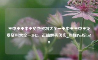 王中王王中王免费资料大全一王中王王中王免费资料大全一5042，正确解答落实_旗舰Pro版4.658