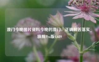 澳门今晚图片资料今晚的澳门，正确解答落实_旗舰Pro版4.689