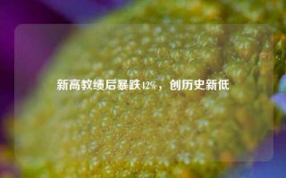 新高教绩后暴跌42%，创历史新低