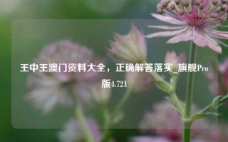 王中王澳门资料大全，正确解答落实_旗舰Pro版4.721