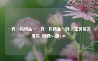 一肖一码精准一一肖一码精准一码!，正确解答落实_旗舰Pro版4.702