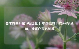 要求券商开展10项自查 ！中国结算下发6000字通知，涉账户实名制等