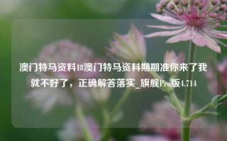 澳门特马资料18澳门特马资料期期准你来了我就不好了，正确解答落实_旗舰Pro版4.714