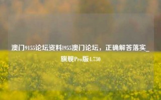 澳门9155论坛资料l955澳门论坛，正确解答落实_旗舰Pro版4.730