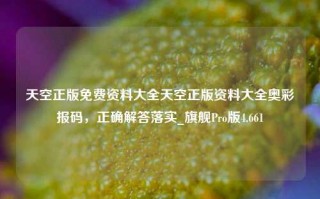 天空正版免费资料大全天空正版资料大全奥彩报码，正确解答落实_旗舰Pro版4.661