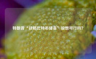 特朗普“战略比特币储备”设想可行吗？