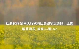 社燕秋鸿 定向天行秋鸿社燕四字定终身，正确解答落实_旗舰Pro版4.662